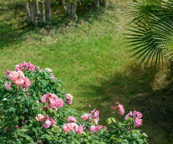 Stefania Отель 3*